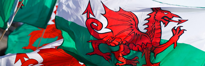 Welsh flags