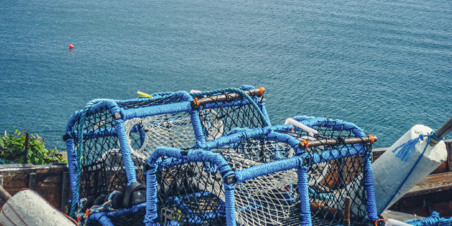 Fishing nets by the coast