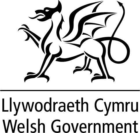 Welsh Government 40mm