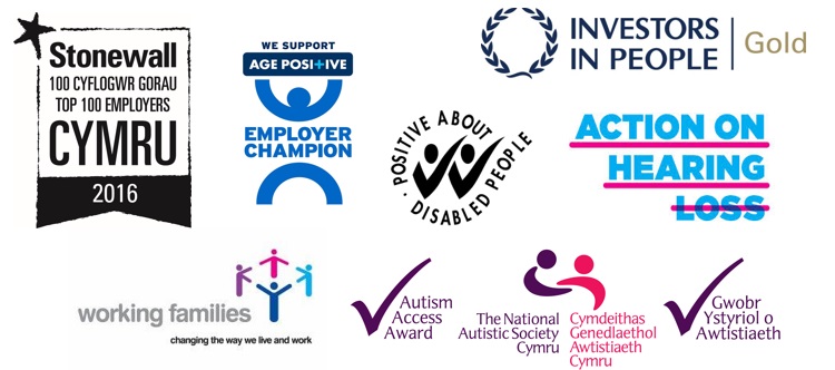Several logos for external recognition recieved by the Assembly. Stonewall Top Employer for LGBT people, Age Positive, Positive About Disabiled People, Investors in People Gold, Action on Hearing Loss Charter Mark, Working Families Top Employers, and National Autistic Society Access Award