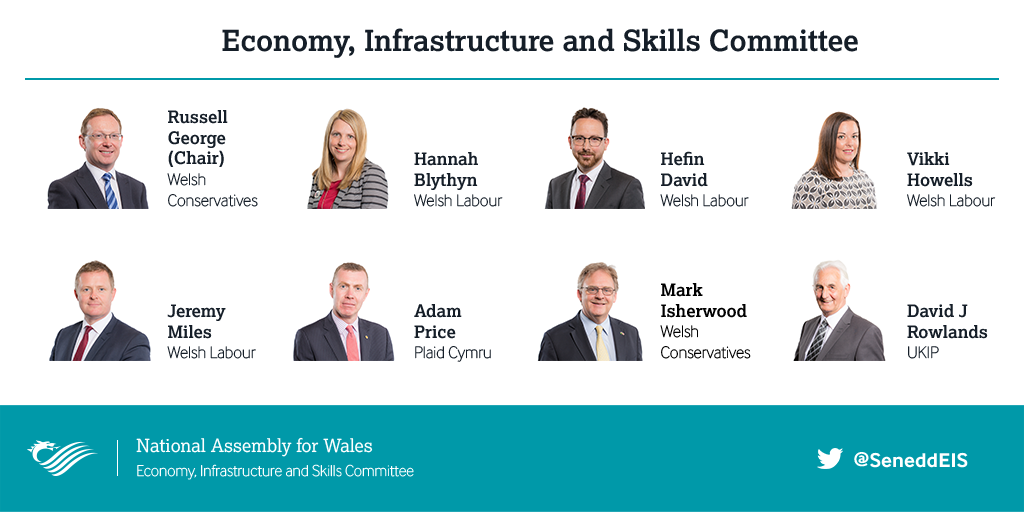 Members of the Economy, Infrastructure and Skills Committee