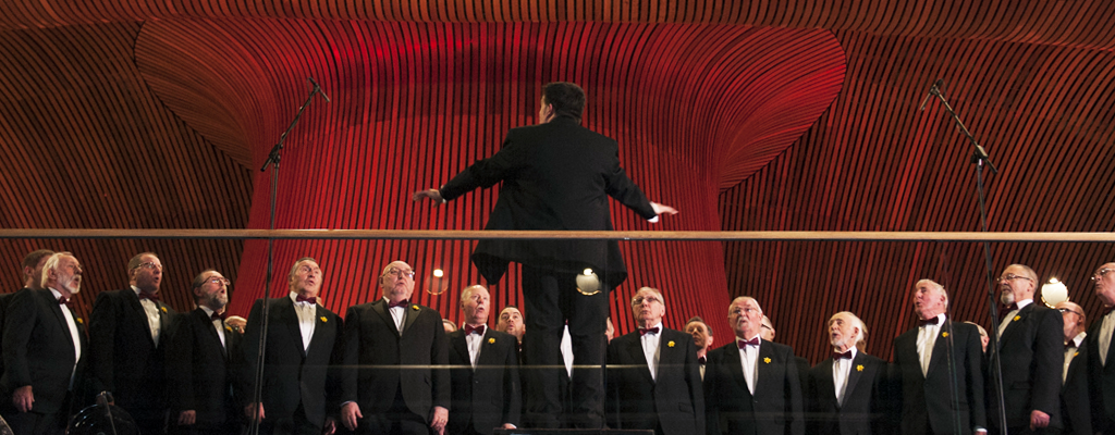 A male voice choir performs at the Senedd