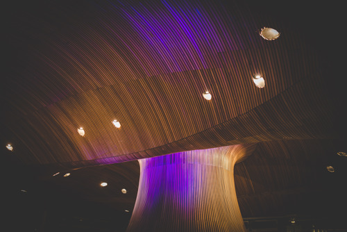 Senedd marks International Women's Day