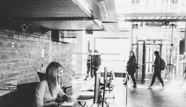 Senedd Reception Desk