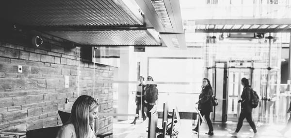 Senedd Reception Desk
