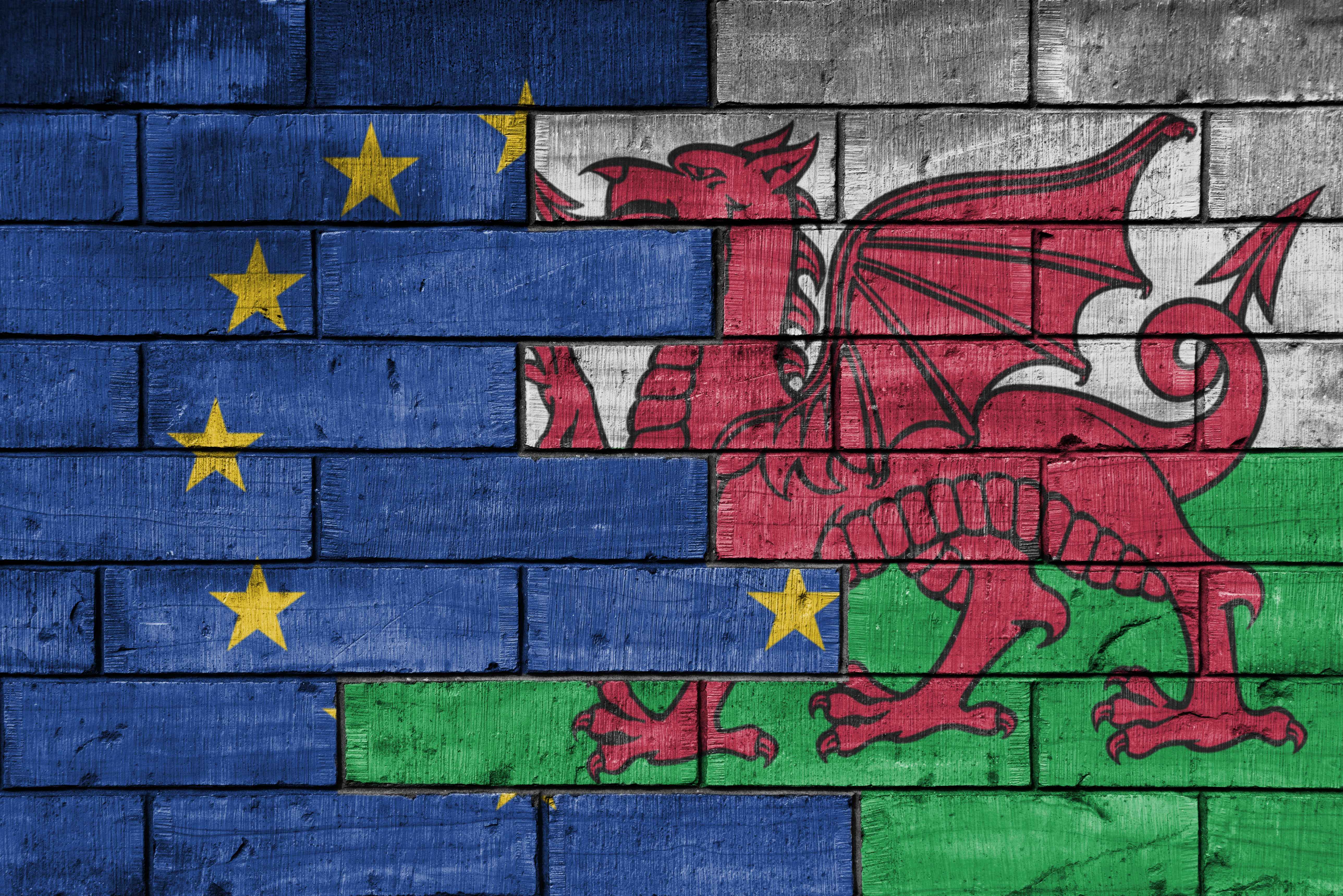 Wales and EU Flags on a wall