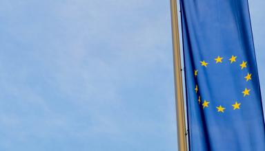 The article’s main image is of an EU flag in colour to the right hand side of the image, hanging vertically. The flag is in focus with a blurred background. 