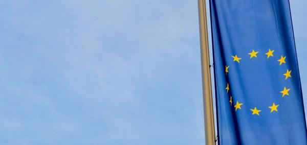 The article’s main image is of an EU flag in colour to the right hand side of the image, hanging vertically. The flag is in focus with a blurred background. 
