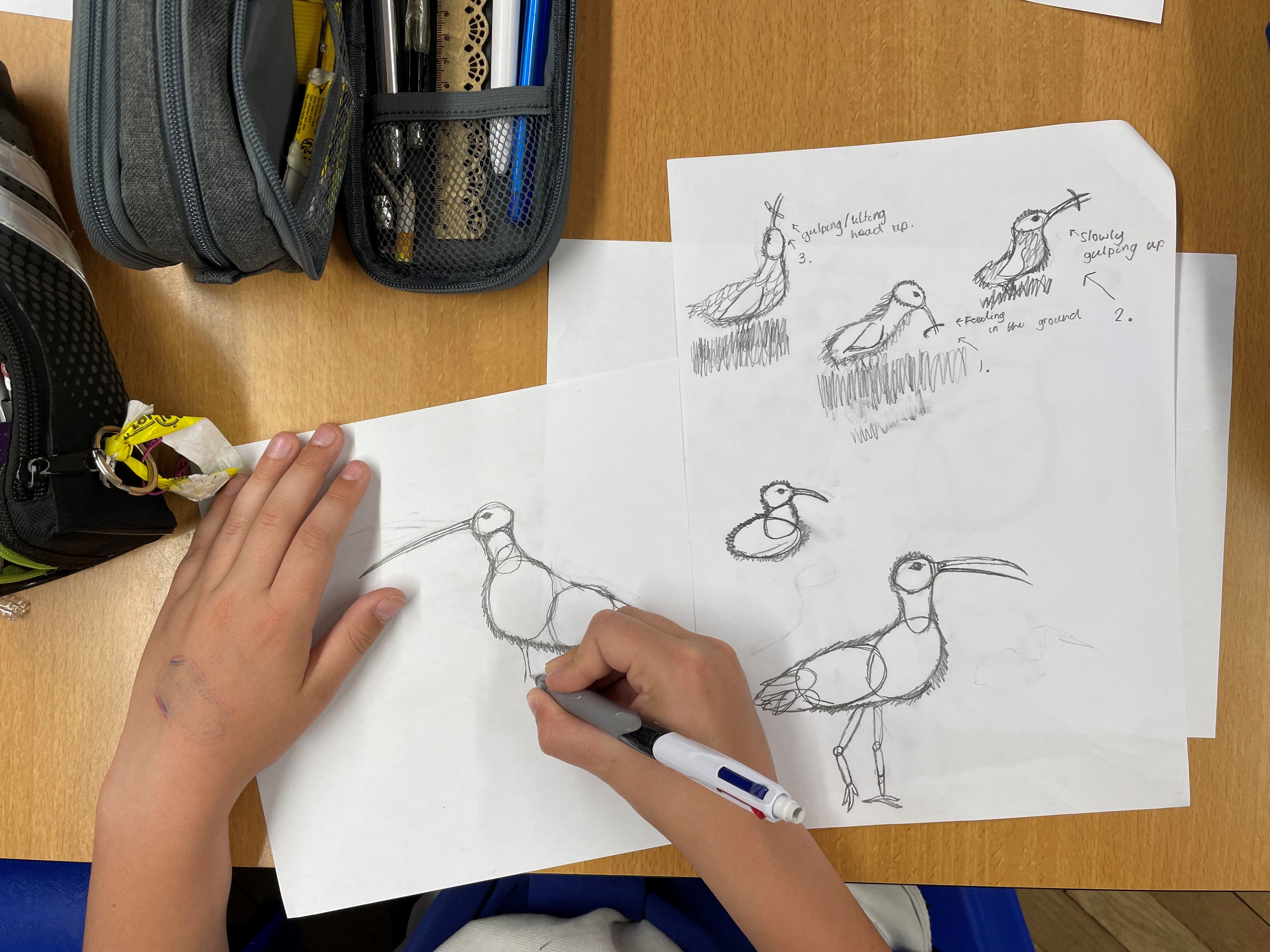 Conference of Birds: The Voice of the 