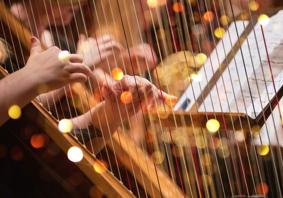 A close-up photo of someone playing a harp.