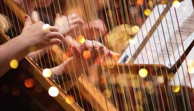 A close-up photo of someone playing a harp.
