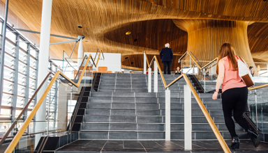 The Senedd