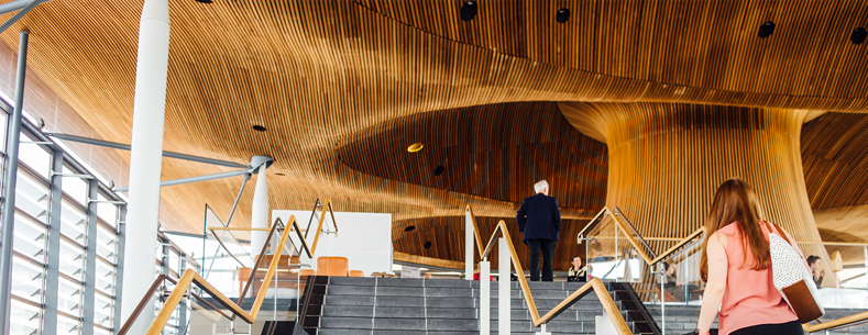 The Senedd
