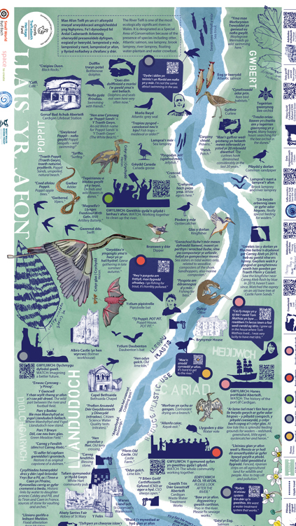 Illustrated map of the River Teifi showing wildlife, local landmarks, and points of interest along the river.