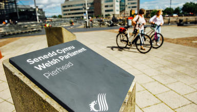 Senedd_1