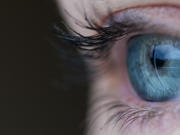 Close up picture of a Human Eye 