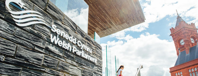 Woman sitting on Senedd steps