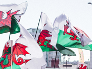 Welsh flags