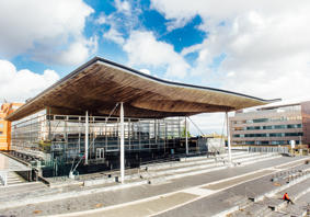 Senedd