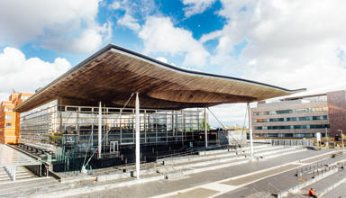 Senedd