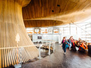 Senedd_46