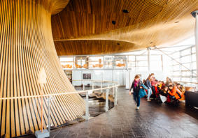 Senedd_46