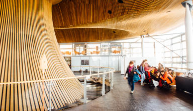 Senedd_46