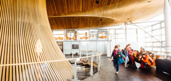 Senedd_46