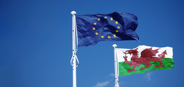 EU and Wales flags