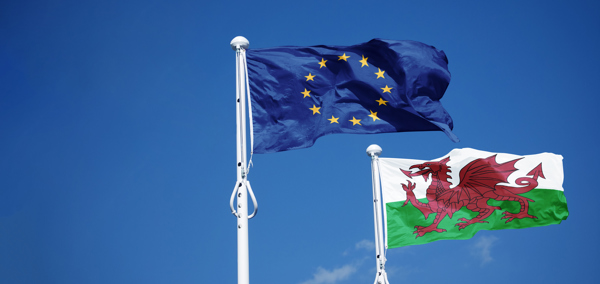 EU and Wales flags