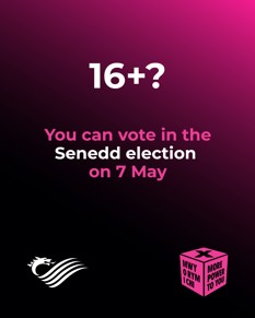 A graphic displaying the words 