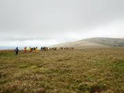 A photograph showing a grassy landscape with hills in the background. A group of schoolchildren wearing yellow raincoats and backpacks walk towards the hills. The sky above is cloudy and grey.