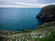 A landscape photograph of a puffin on a cliffside above the sea.