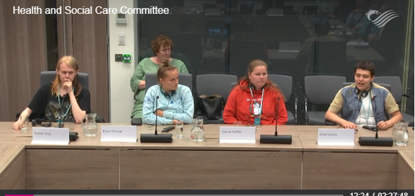 Young people representing Voices from Care Wales give evidence to the Committee