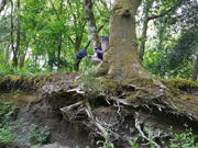 Cheryl Beer in the Welsh Rainforest