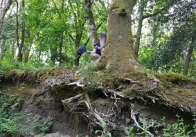 Cheryl Beer in the Welsh Rainforest