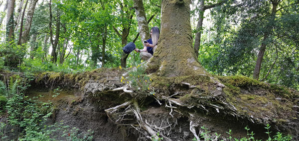Cheryl Beer in the Welsh Rainforest