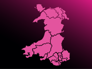 This image is decorative.