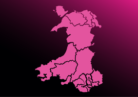 This image is decorative.