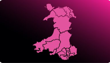 This image is decorative.