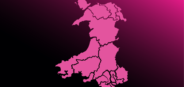 This image is decorative.