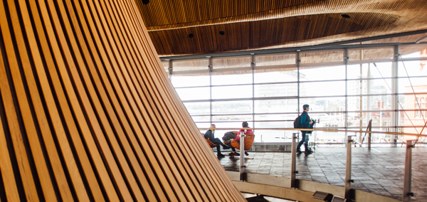 Senedd building interior