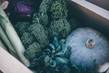 A box of fresh vegetables including kale, leeks, and a pumpkin.